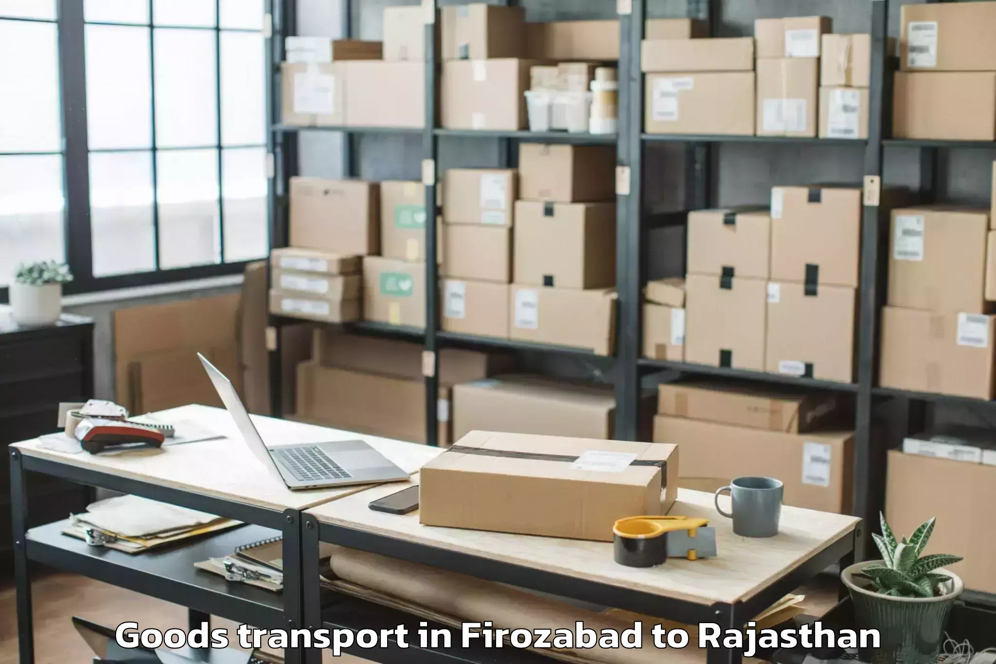 Easy Firozabad to Bari Sadri Goods Transport Booking